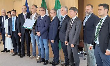 Il pioppo conviene e ha ottime prospettive, ma serve più pianificazione tra le regioni e una voce univoca in Ue