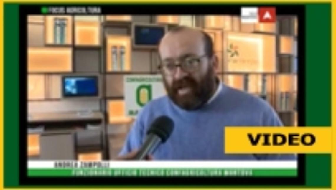 Il servizio di Telemantova sui servizi di Confagricoltura Mantova presentati al Bovimac 2017 