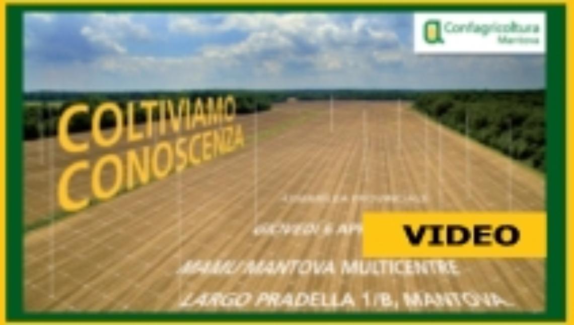 Il servizio di TeleMantova dedicato all'assemblea provinciale di Confagricoltura Mantova