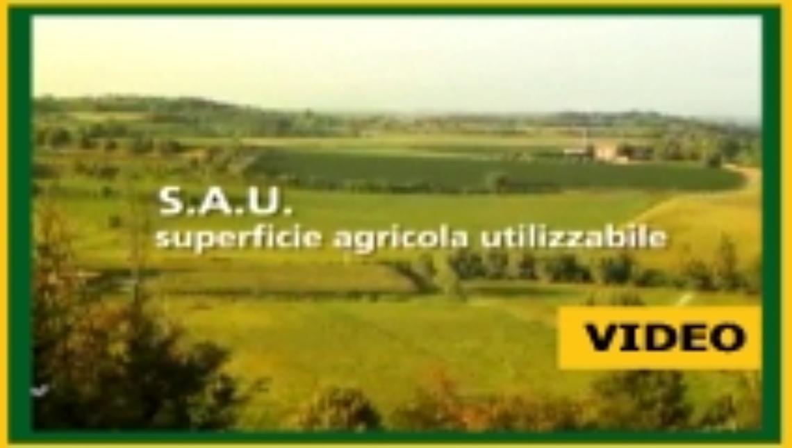 I dati 2016 del sistema agroalimentare mantovano