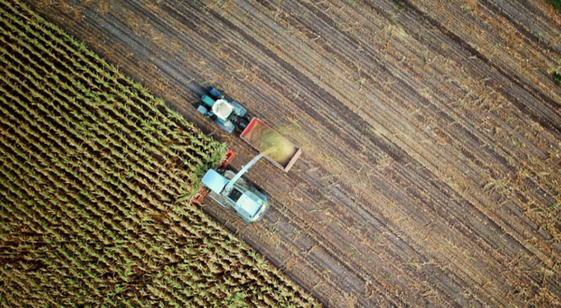 Tabelle salariali operai agricoli
