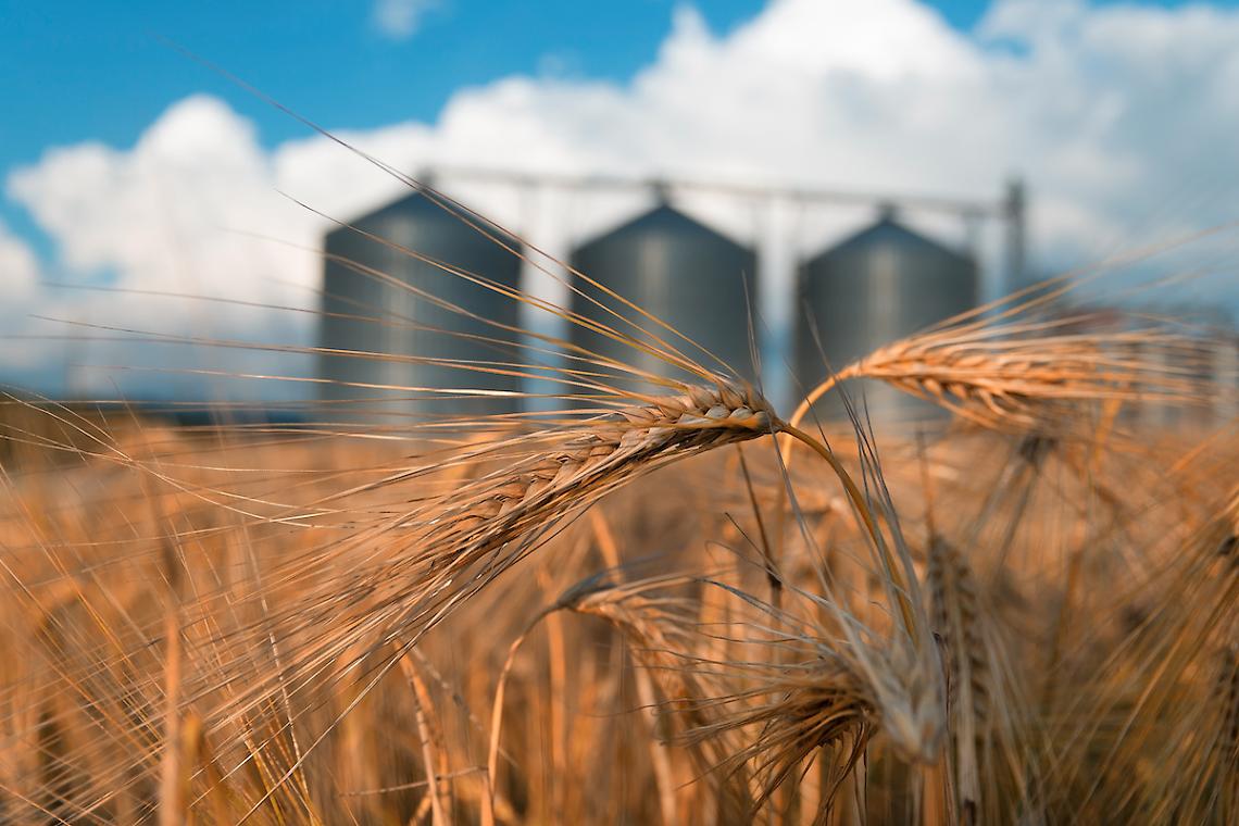 Dal 1° luglio Granaio Italia diventa obbligatorio
