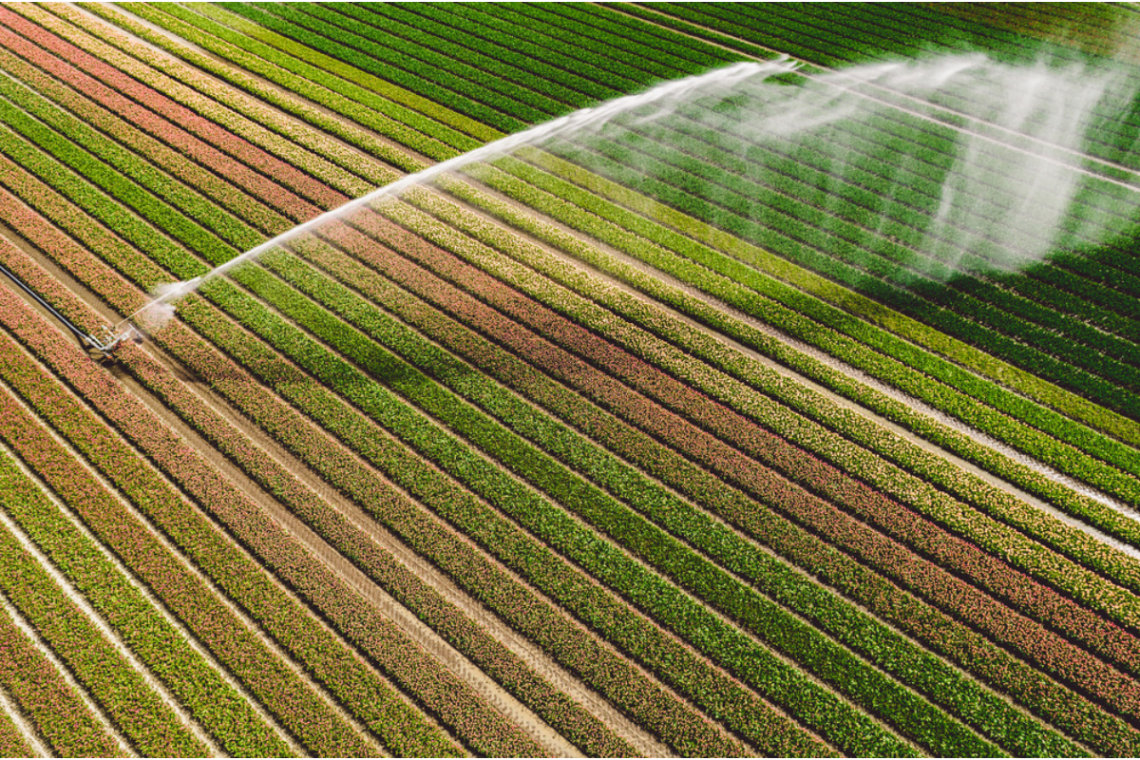Irrigazioni estive: attenzione alle linee elettriche