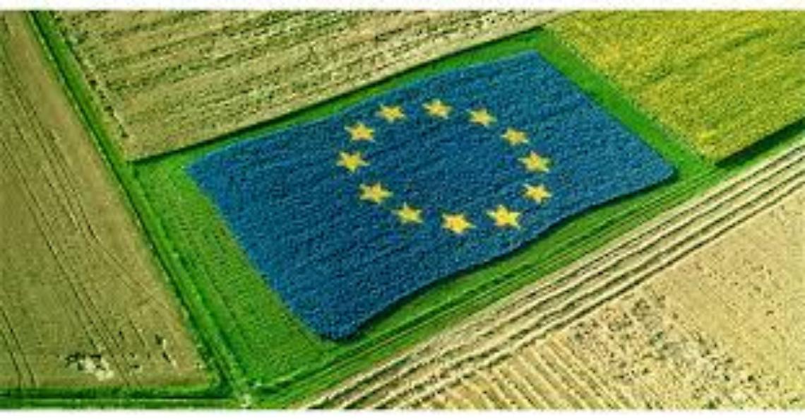 PAC: tagli inaccettabili. Confagricoltura si mobilita