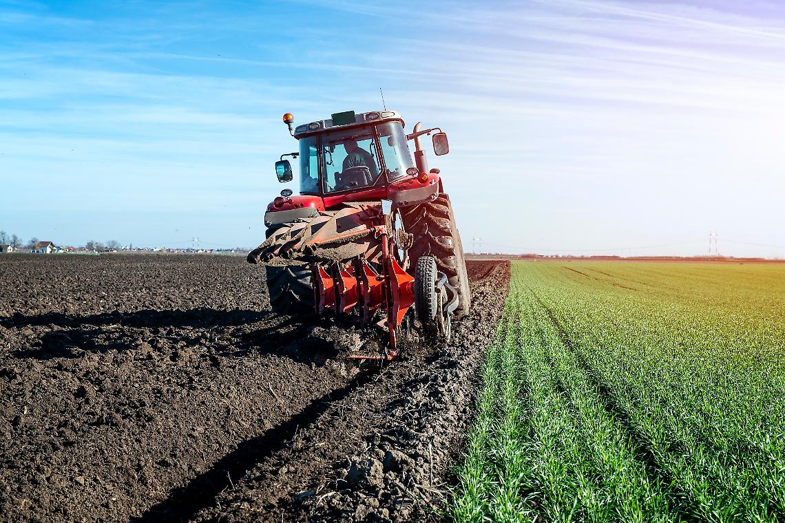 Il Consiglio dei Ministri approva il nuovo "collegato agricolo"