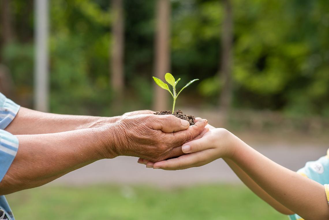 Al via la 10a edizione del bando "Coltiviamo Agricoltura Sociale"