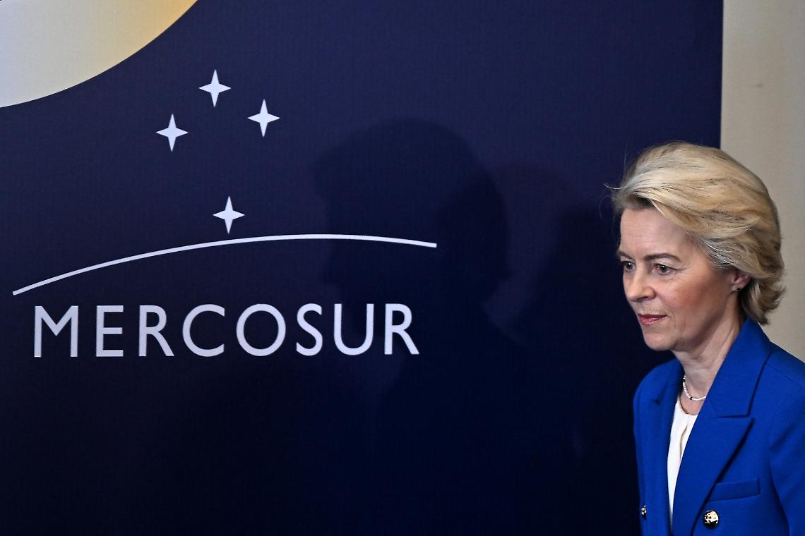 Accordo Ue-Mercosur: rischi per comparti chiave dell’agricoltura mantovana