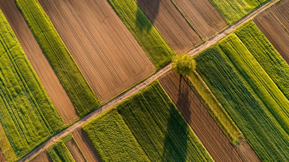 Quaderno di campagna, proroga di un anno. La soddisfazione di Confagricoltura Mantova