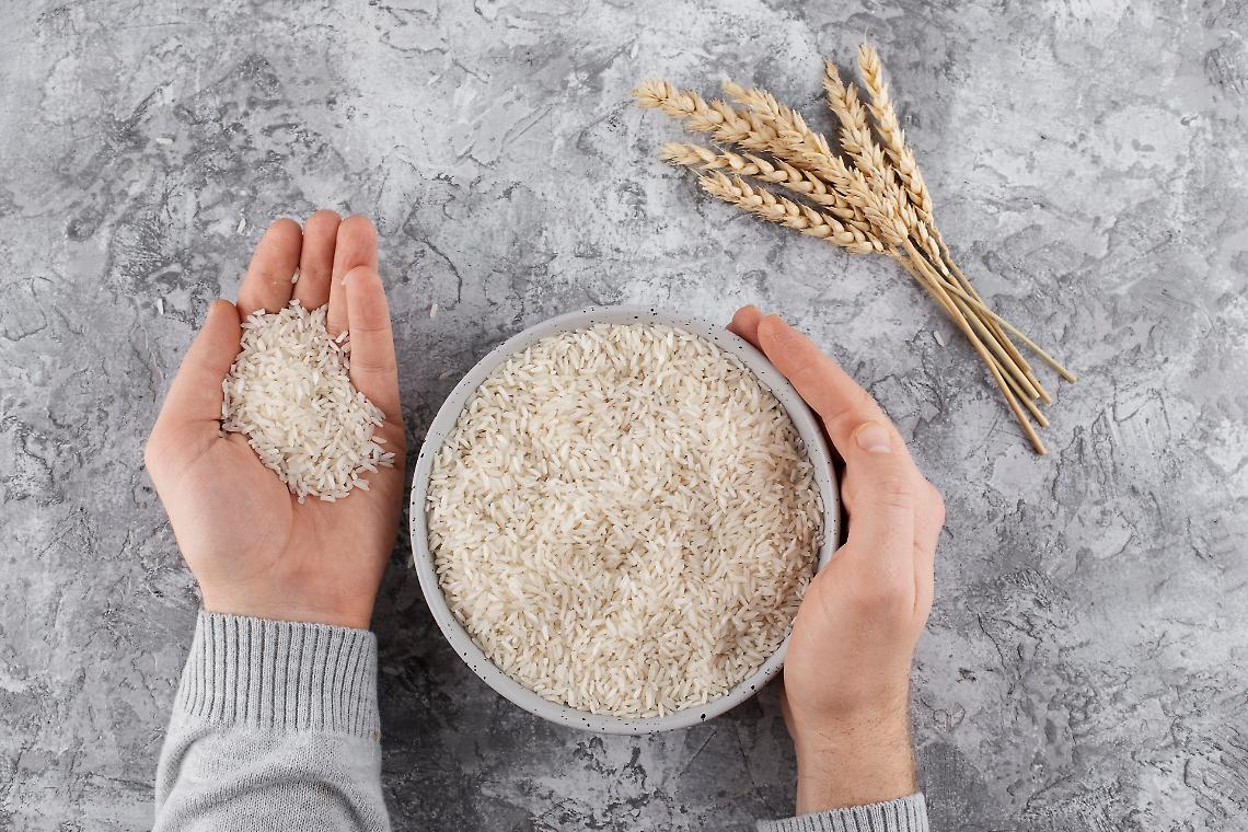 Il riso mantovano a rischio