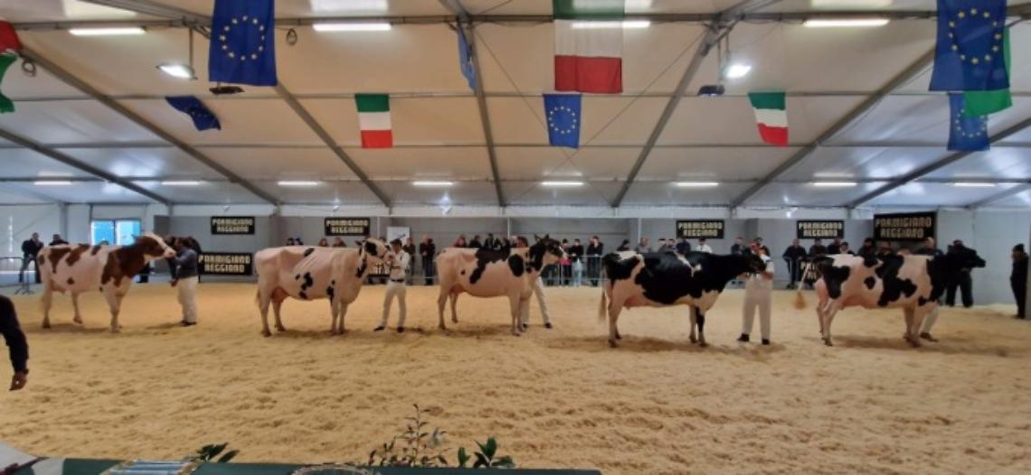 Confagricoltura Mantova a Bovimac 2026