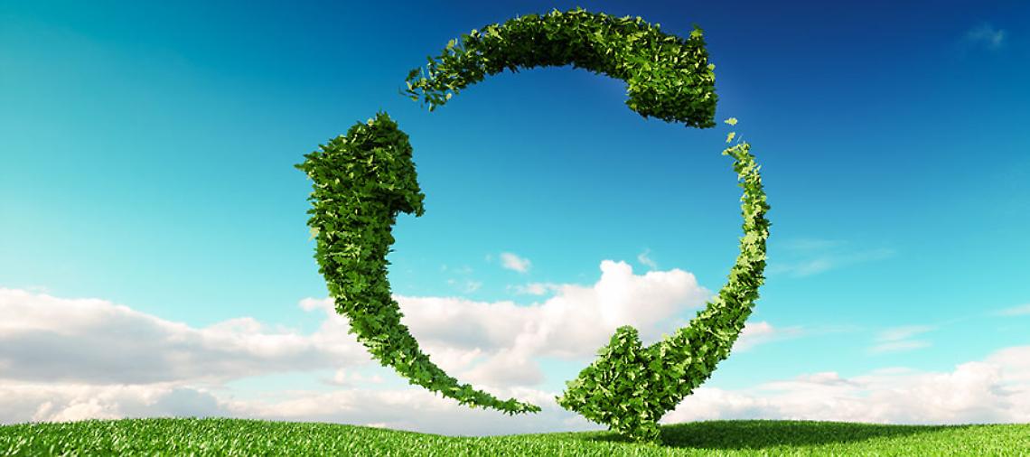 Rentri: conferma ufficiale sulle cancellazioni