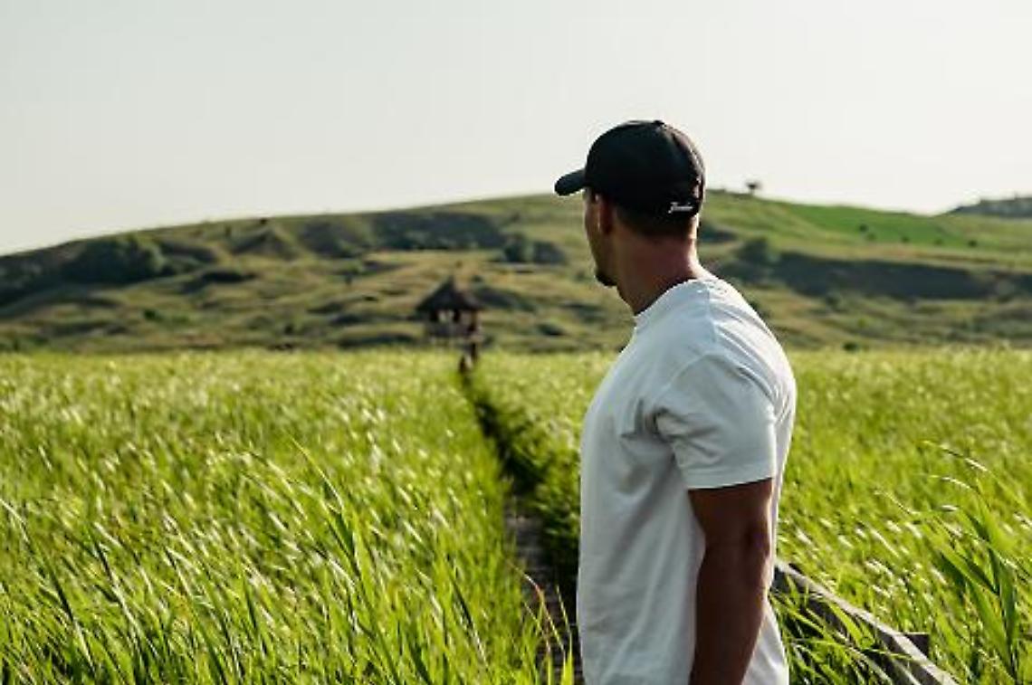 Intervento SRE01 "Insediamento giovani agricoltori": approvazione delle disposizioni attuative per la presentazione delle domande per l'anno 2026