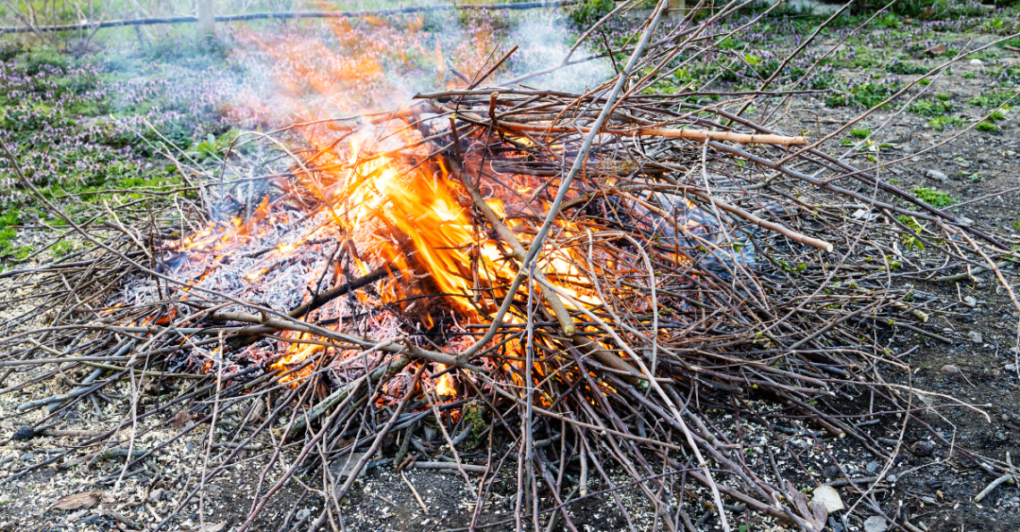 Disposizioni inerenti alla combustione in loco di residui vegetali, agricoli e forestali