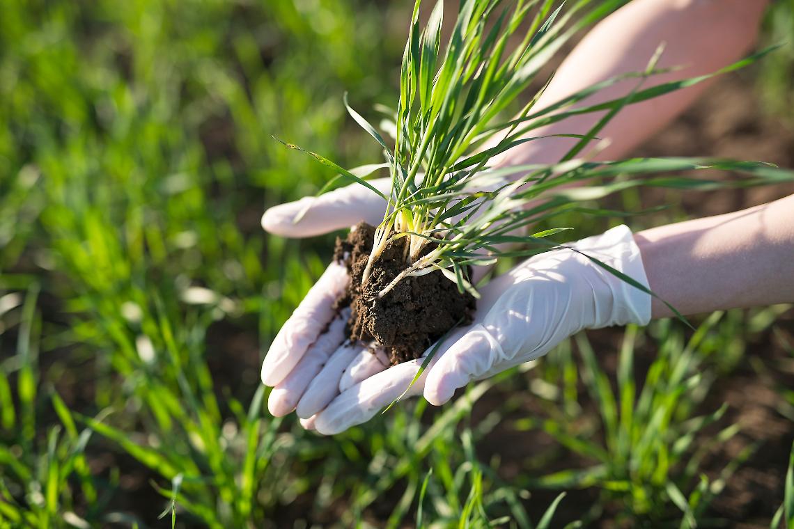 Rincari su gasolio e fertilizzanti mettono in crisi le aziende agricole