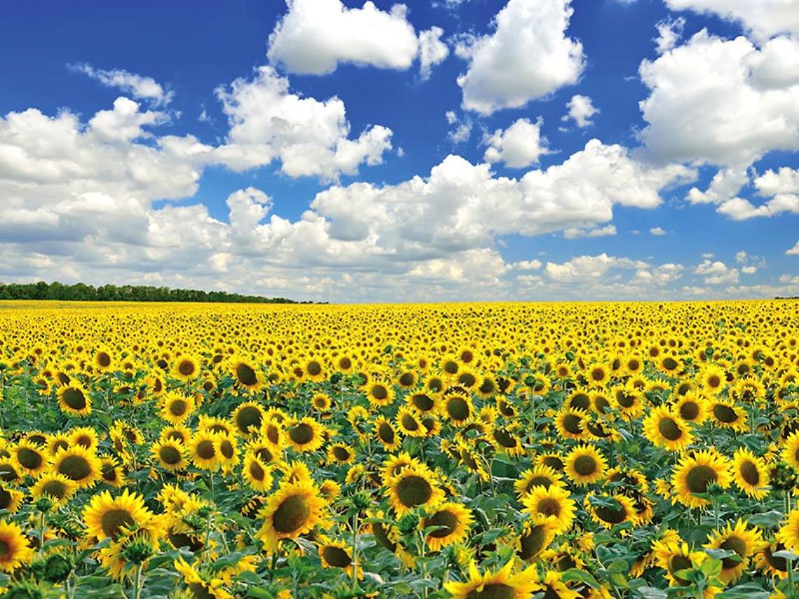 Agricoltura e ambiente: il rapporto di Regione Lombardia