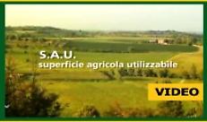 I dati 2016 del sistema agroalimentare mantovano