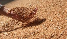 Granaio Italia al via ufficialmente dal 1&deg; luglio 2025