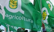 Personale e innovazione tecnologica le proposte per la Legge di Bilancio