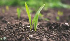 Stop all'urea: i tempi non sono maturi