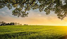 L'agricoltura ha ridotto del 44% l'uso di fitofarmaci