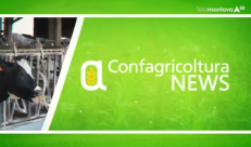 Confagricoltura News - puntata 317