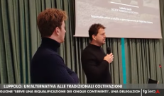 Tg Telemantova - Luppolo: un'alternativa alle tradizionali coltivazioni