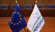 A Bruxelles il primo s&igrave; al Mercosur. Cortesi: &laquo;Forti perplessit&agrave;&raquo;