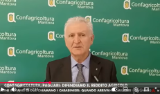 Tg Telemantova - Pagliari: "Difendiamo il reddito agricolo"