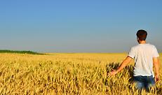 Giovani in agricoltura: &laquo;Troppi paletti e fondi inutilizzati: cos&igrave; il ricambio generazionale s'inceppa&raquo;