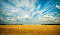 Anche la Corte dei Conti europea boccia il nuovo modello della Pac