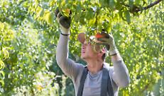 Fondamentale lavorare sulle quote stagionali d'ingresso