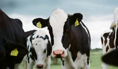 Confagricoltura Mantova pronta al ricorso contro il regolamento di Gonzaga