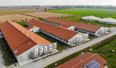 Arpa Lombardia: incontro con le aziende zootecniche di Mantova e Cremona