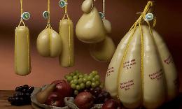 &laquo;Il Valpadana tesoro per il territorio&raquo;