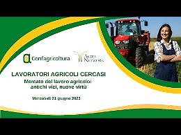 LAVORATORI AGRICOLI CERCASI
