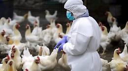 Nuove norme di contrasto alla Influenza aviaria