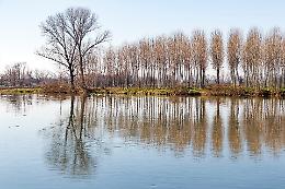 Rinaturazione del fiume Po: serve ascoltare la voce degli agricoltori