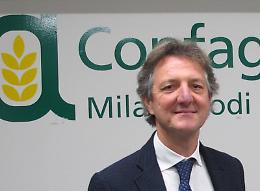 Polizze assicurative agricole: in arrivo le risorse per il 2022 e il 2023 
