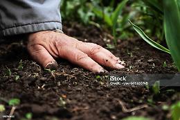 Accademia delle Scienze: un nuovo modello per il futuro agricolo