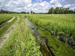 SRD04: INVESTIMENTI NON PRODUTTIVI AGRICOLI CON FINALITA’ AMBIENTALE