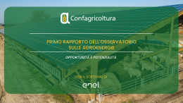 Primo Rapporto dell'Osservatorio sulle Agroenergie