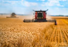 UnionCamere, export dell'agroalimentare lombardo e dazi