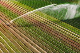 Irrigazioni estive: attenzione alle linee elettriche