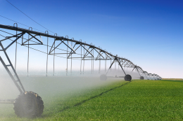 Pianura Padana: l'irrigazione intensiva preserva le falde acquifere