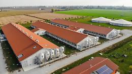 Arpa Lombardia: incontro con le aziende zootecniche di Mantova e Cremona