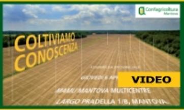 Il servizio di TeleMantova dedicato all'assemblea provinciale di Confagricoltura Mantova