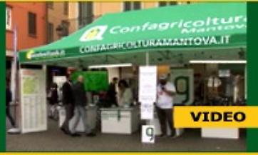 Il servizio speciale di Mantova Tv sul "Food&Science Festival"