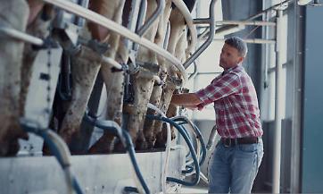 Formazione obbligatoria degli operatori degli allevamenti secondo il DM 6 settembre 2023