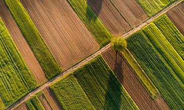 Quaderno di campagna, proroga di un anno. La soddisfazione di Confagricoltura Mantova