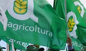 Personale e innovazione tecnologica le proposte per la Legge di Bilancio